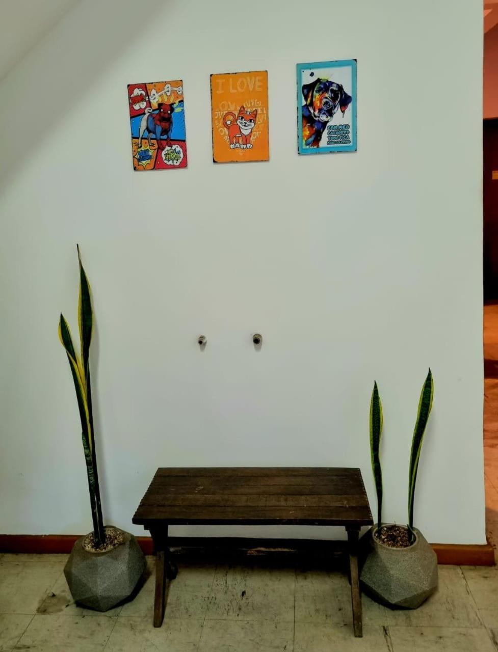 Cool Living Hostel - Praca Da Liberdade Belo Horizonte Dış mekan fotoğraf